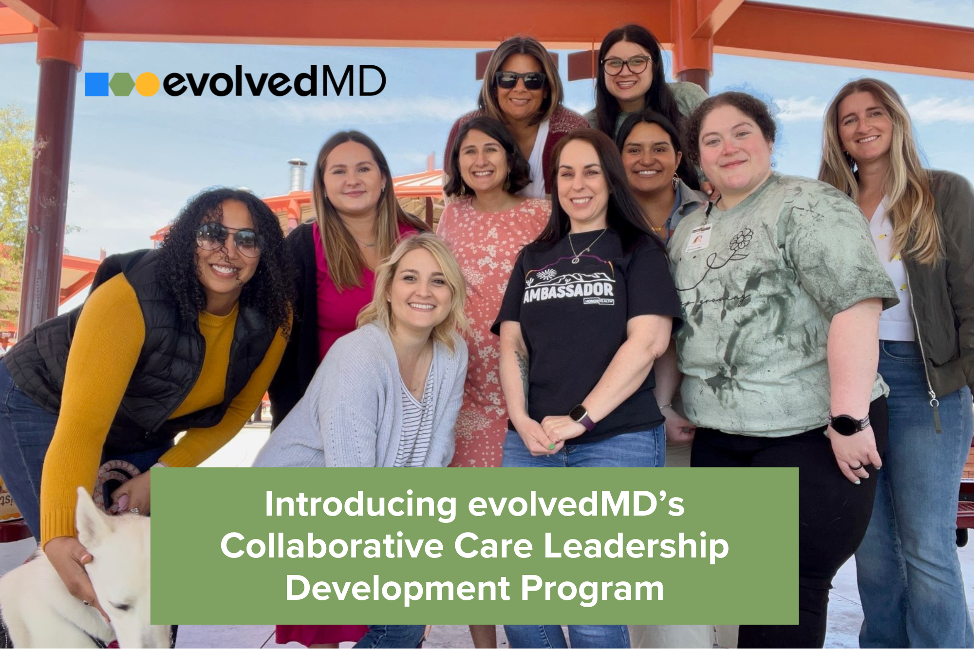 CCLDP Press Release Featured Image